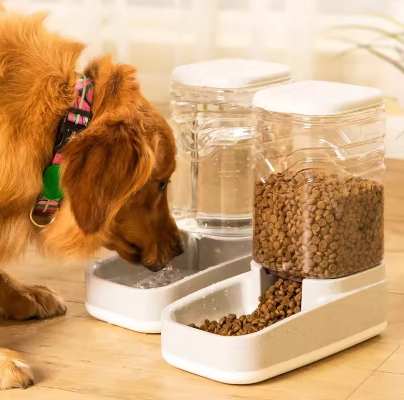 automatic pet feeder and water dispenser